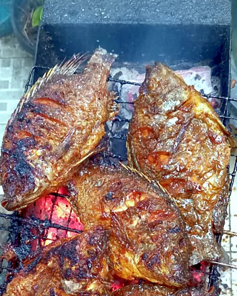 Ikan nila bakar di atas panggangan arang
